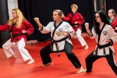 Adult-martial-arts-program-sm